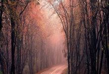 太阳炙烤，气势如虹：一场关于胜利的狂欢！