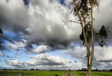 兰斯队：蓄势待发，剑指荣耀——一场关乎命运的战役正在酝酿