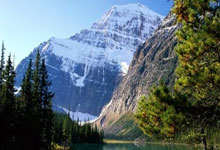 铁榔头精神铸就辉煌，中国女排剑指奥运巅峰