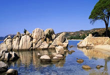 钱塘潮涌，雄狮咆哮！浙江队主场奏凯，河北队黯然离场