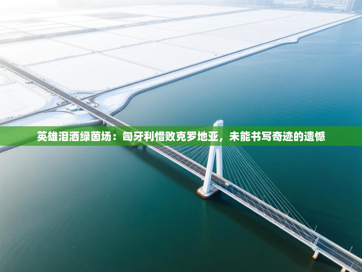 英雄泪洒绿茵场：匈牙利惜败克罗地亚，未能书写奇迹的遗憾  第1张