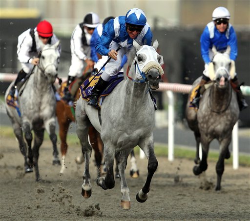 爱游戏官网-包含美洲球队组队参加海外冲刺赛，备战世界杯比赛的词条